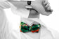 Pierre Select Series Bow Tie